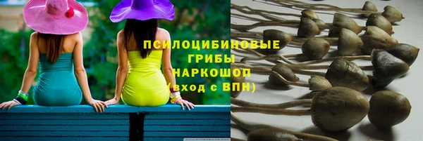 ешки Алексин